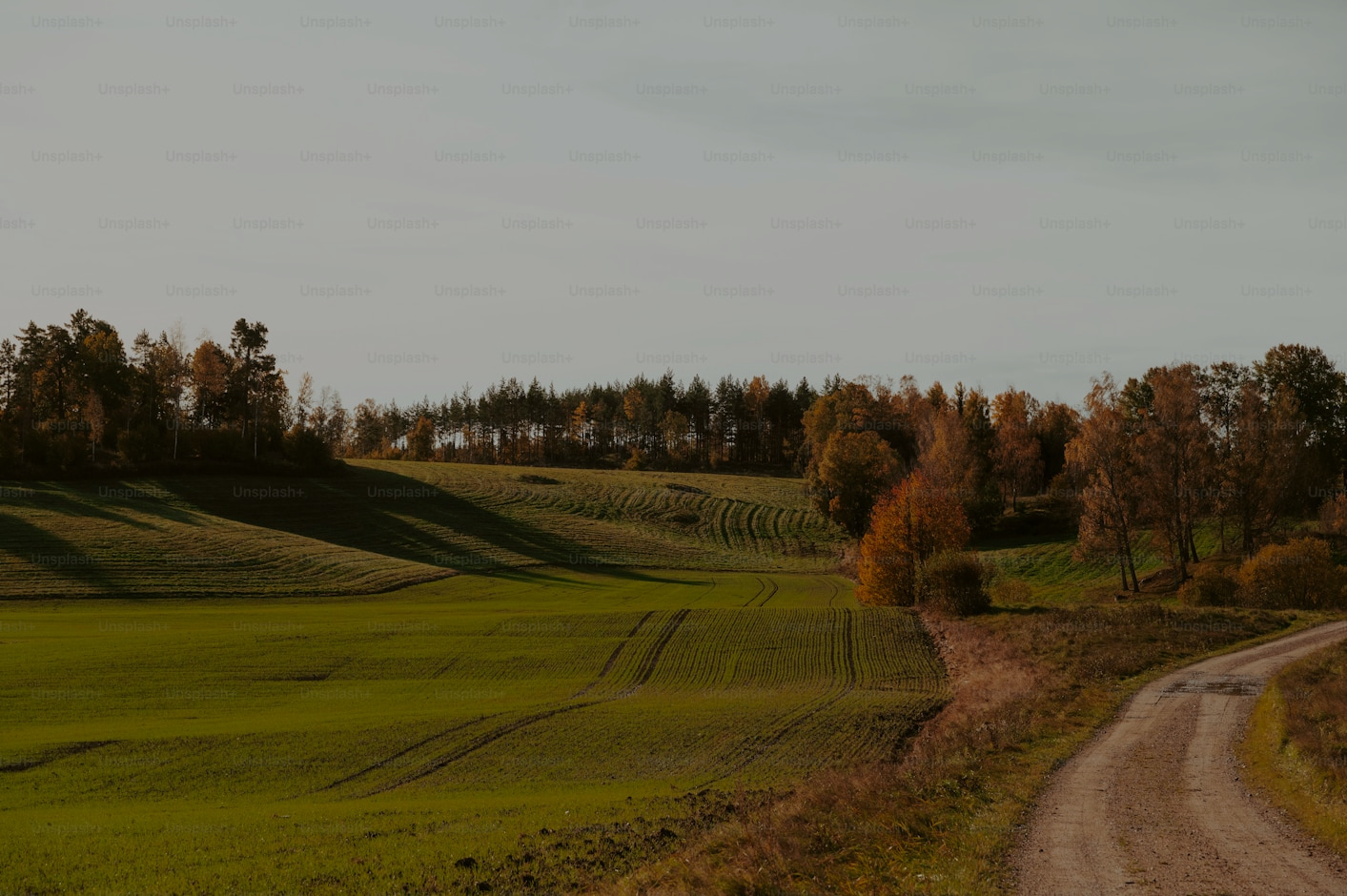 Landing Pages